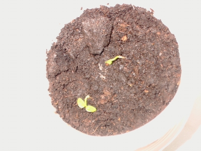 Ilo und Zet am 22.04.2007